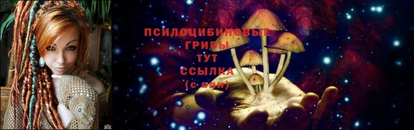 каннабис Абаза